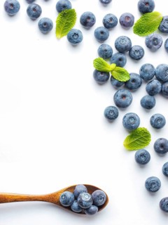 Blueberries isolated on white background. Blueberry border design. Ripe and juicy fresh picked
