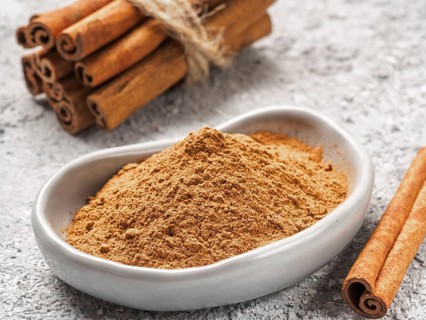 Ground cinnamon on gray background