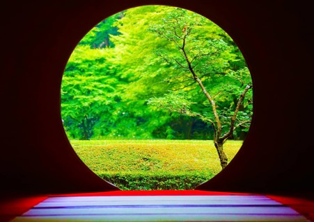 Early summer of Meigetsuin. Shooting Location: Kamakura, Kanagawa Prefecture