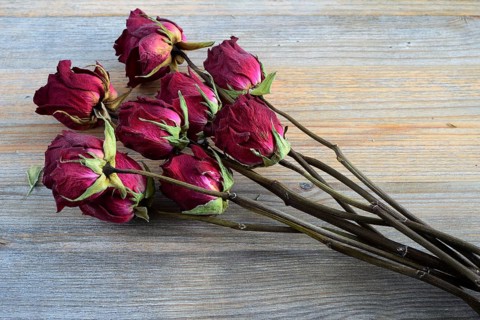 Bouquet of withered roses on a wooden background