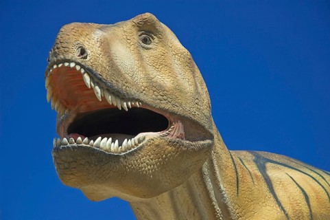 Germany, Hesse, Frankfurt/Main, Senckenberg Museum, Tyrannosaurus Rex, Frankfurt/Main, Hesse,