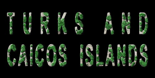 Turks and Caicos Islands Reforestation and Climate Message, Sustainable Green Typography, Green