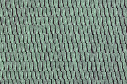 Green roof tiles create a uniform, textured pattern in a repetitive design.Belarus