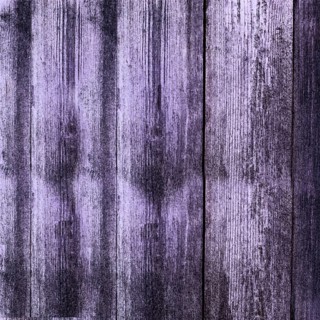 Purple painted wood planks showing knots and grain creating a rustic background.Belarus
