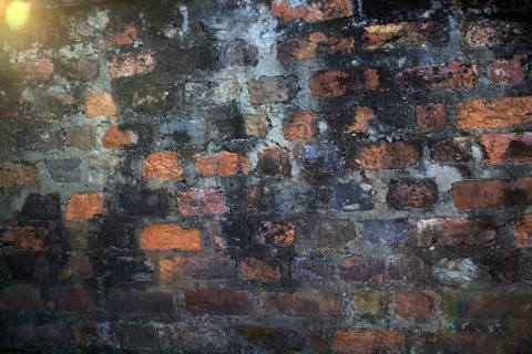 A fragment of an old brick wall, decorated with mold and dust