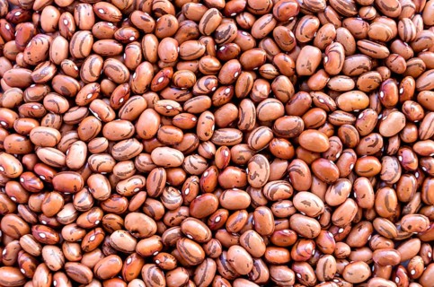 Beans of bean (beans). Background of many grains of dried beans. Brown beans texture. Food