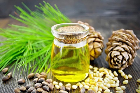Cedar oil in a glass jar, two cedar cones, nuts and green twigs on a dark wooden board background