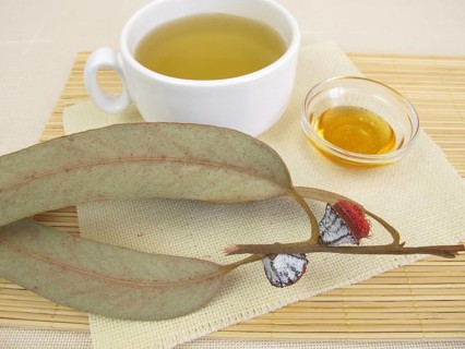 Eucalyptus tea with honey