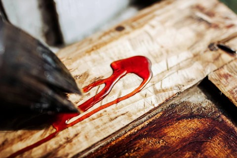 Close-up of a red stain and brush on wooden surface showcasing texture and finish