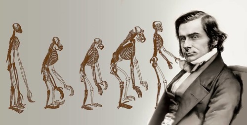 Portrait of Thomas Henry Huxley, 1825 – 1895, English biologist and anthropologist, specialized in