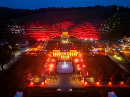 Adventure winery to shine in special splendour from next week Radebeul, 1 November 2024 From 8