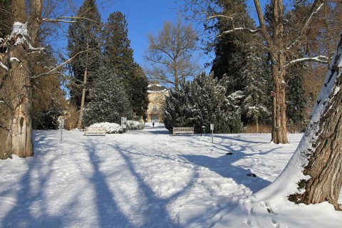 Snow-covered palace garden of Hohenheim Palace, University of Hohenheim, Stuttgart,