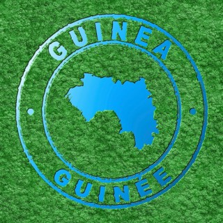 Map of Guinea, Forest with Water Map, CO2 Reduction