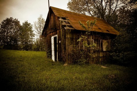 Old abandones lonely house near the forest