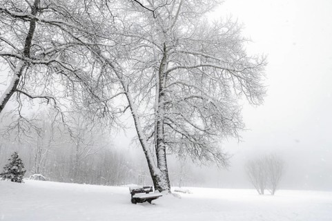 Winter scenery with snowflakes falling over an empty park, leafless trees, wooden bench and a thick