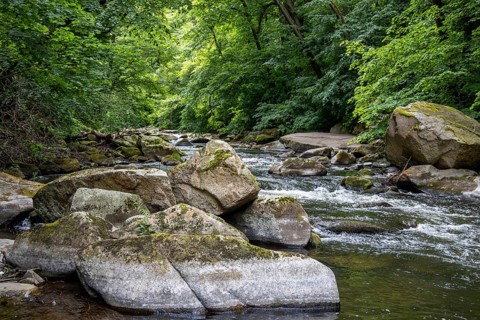 The Bode River Landscape Experience Bodetal