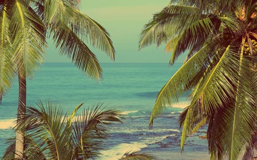 Beautiful blue sea landscape with palm leaves on foreground, vintage retro style