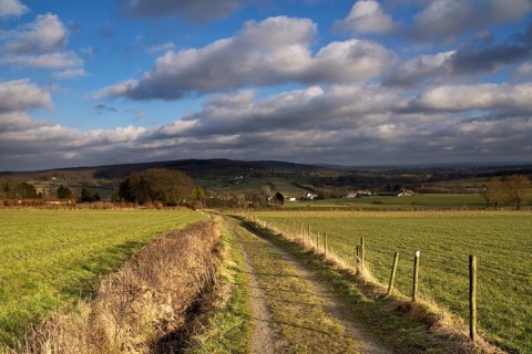 Landscape near Epen in the Dutch province Limburg