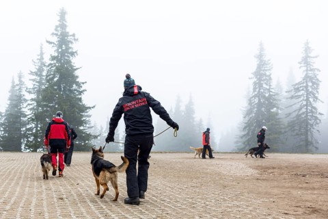 Sofia, Bulgaria - April 20, 2016: Men and their dogs at the search and rescue team at Bulgarian Red