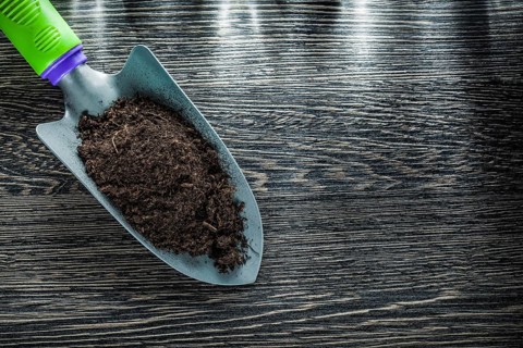 Shovel soil on wooden board gardening concept