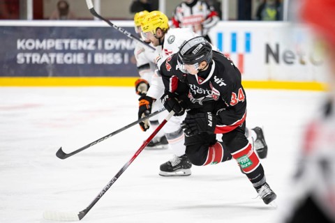 Elias Lindner (Cologne Sharks, #34), PENNY DEL, Test match Cologne Sharks - Lions Frankfurt on 25