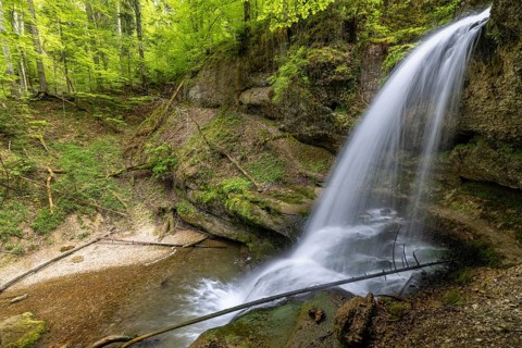 Side view of a waterfall flowing in a mossy forest area, surrounded by tall trees, Hasenreuter