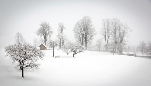 Winter landscape in the Alps, Tyrol, Wildschönau, Austria
