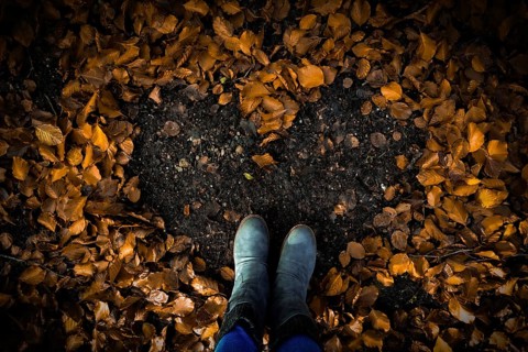 Heart-shaped pattern in the foliage on the ground, surrounded by boots in autumn forest, Hasbruch