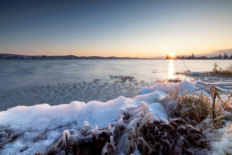 Snow-covered and icy shore of a lake at sunrise, Niederzell, Reichenau, Lake Constance,
