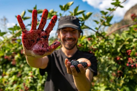 Selective focus and close up shot of happy and smiling caucasian man. as he showing hands stained