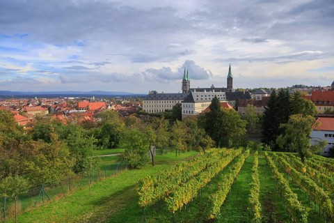 Vineyard and cathedral in Bamberg, Germany