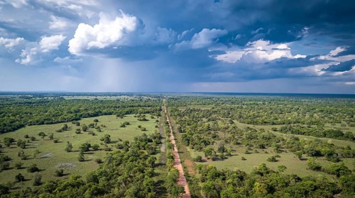 Aerial view of Transpantaneira dirt road crossing straight the North Pantanal Wetlands, Mato