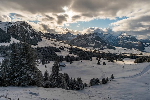 Wonderful winter hike from Restaurant Eggli over the Forstseeli and Diepoldsauer sponge to the