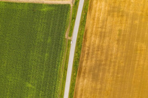 Aerial top view drone photography of a land with sown green fields in countryside