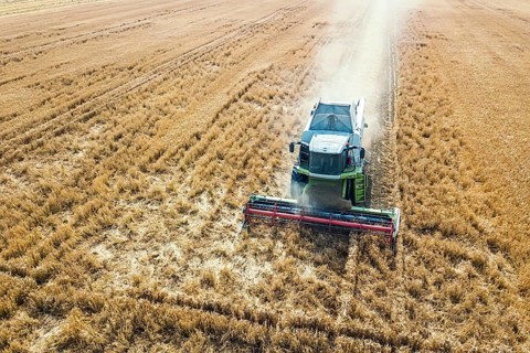 Combine harvester working on a wheat field. Combine harvester Aerial view