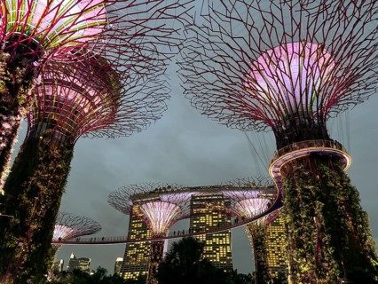 Illuminated supertrees and modern buildings in urban environment at night, living lights,