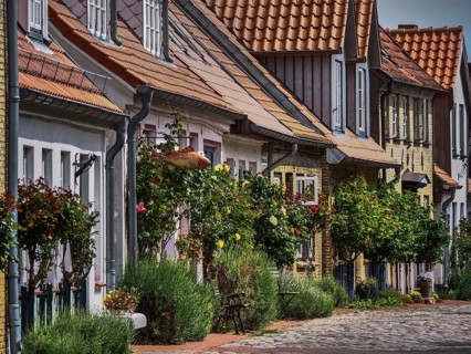 Historic terraced houses with flowering gardens along a cobbled street in the sunshine, holm,