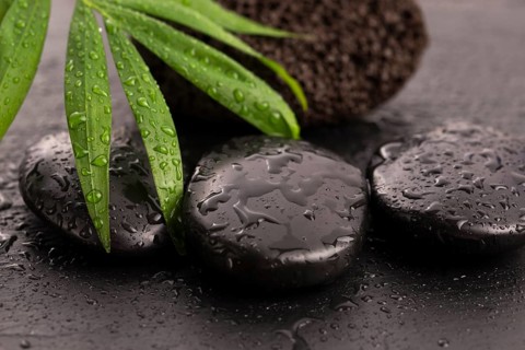 Green leaf on spa stone on wet black surface