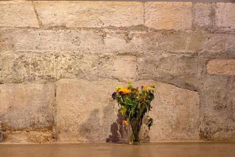 Flowers in front of a stone wall, symbol of decoration, transience Austria