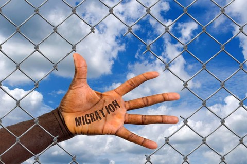 The hand of a foreigner behind a wire mesh fence, hole, loophole, help, refugee, asylum, migrant,