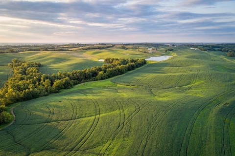 Aerial view of green soybean fields s in a valley of the Missouri River, near Glasgow, MO, late