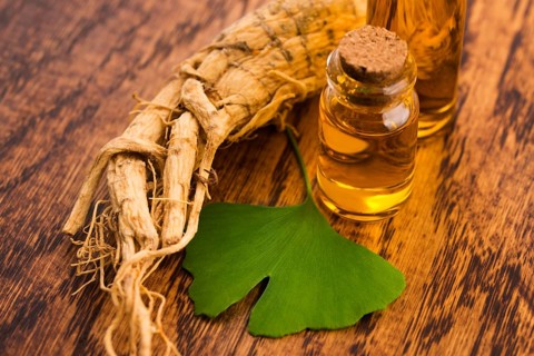 Extract of ginseng root and ginkgo biloba leaves