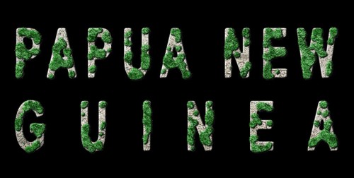 Papua New Guinea Reforestation and Climate Message, Sustainable Green Typography, Green Agenda