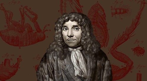 Antonie Philips van Leeuwenhoek, 1632 – 1723, a Dutch microbiologist and microscopist