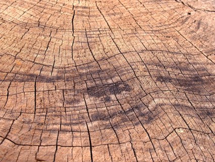 Old rough brown timber surface with darker scorch marks and cracks following the growth rings