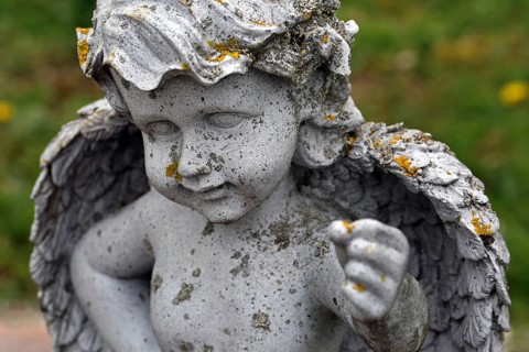 Moat angel