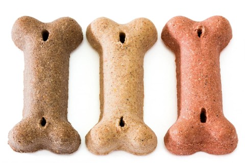 Dog dry food bone shaped on white background Dog dry food bone shaped on white background