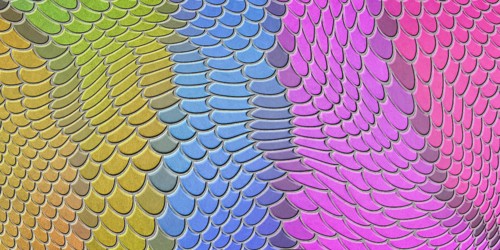 Colorful mermaid scales, fish scale, Fantasy texture