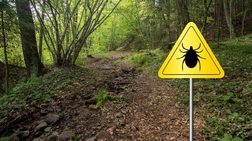 Tick insect warning sign in infected forest. Lyme disease and meningitis transmitter
