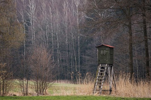 Wooden lookout tower for hunting in the woods and on meadow